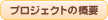 �v���W�F�N�g�̊T�v